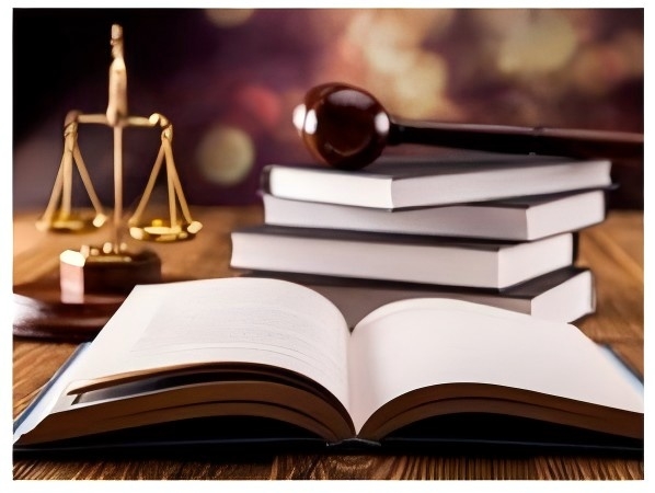 22年精准翻译服务